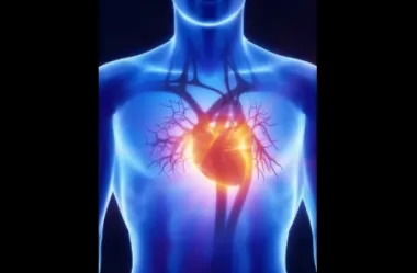 OS BENEFÍCIOS DA VITAMINA D NO SISTEMA CARDIOVASCULAR