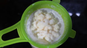 KEFIR1 1 300x168 - DOAÇÃO DE KEFIR