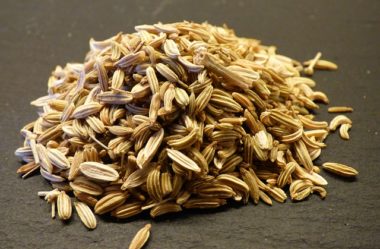 NÃO BEBA CHÁ DE ERVA DOCE SEM LER ISTO