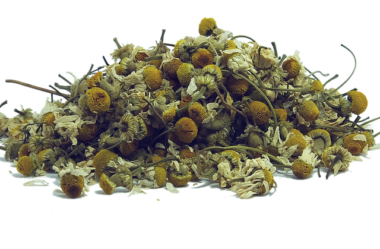 O QUE NINGUÉM LHE CONTOU SOBRE O CHÁ DE CAMOMILA